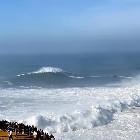 Oasis *