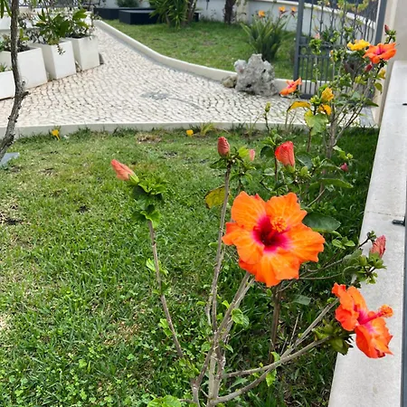 Oasis Guest house *