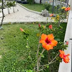 Oasis Гостевой дом 4*