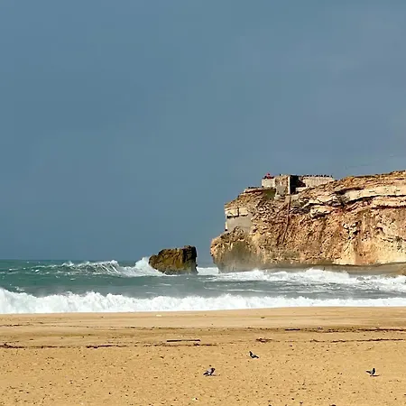 Oasis Pensión Nazaré